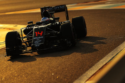 Fernando Alonso, McLaren F1
