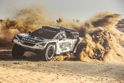 Peugeot 3008 DKR