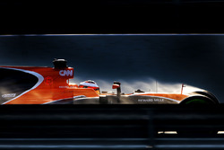 Stoffel Vandoorne, McLaren MCL32