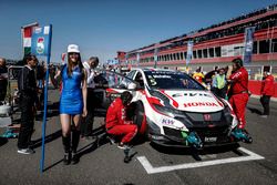 Norbert Michelisz, Honda Racing Team JAS, Honda Civic WTCC