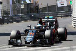 Fernando Alonso, McLaren MP4-31