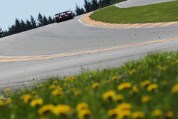 #67 Ford Chip Ganassi Racing Team UK Ford GT: Marino Franchitti, Andy Priaulx, Harry Tincknell