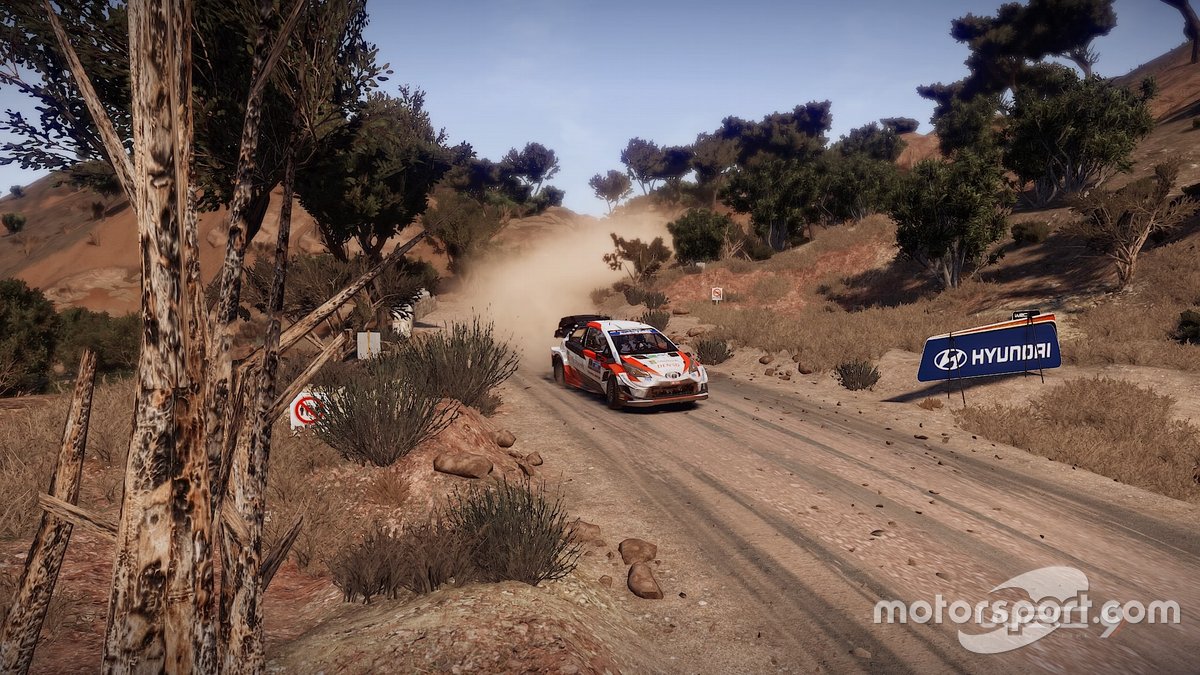 Imagen del WRC 9