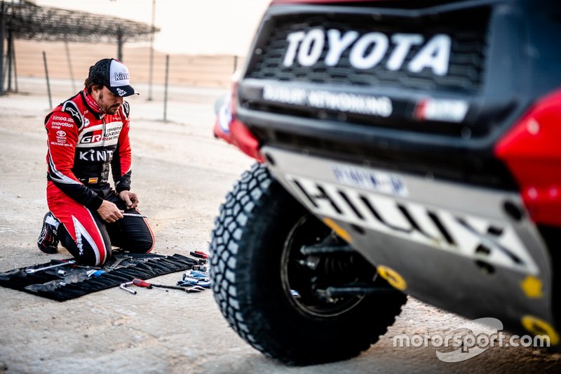 #310 Toyota Gazoo Racing: Fernando Alonso