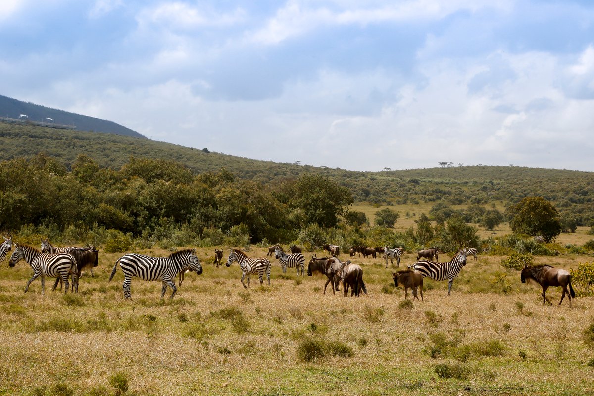 Atmosphere in Kenya
