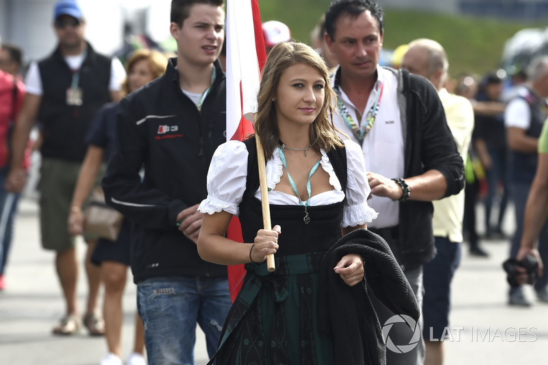 Grid girls Monster Energy