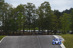 Scott Dixon, Chip Ganassi Racing Honda