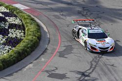 #93 Michael Shank Racing Acura NSX: Andy Lally, Katherine Legge