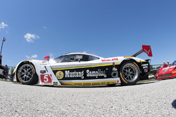 #5 Action Express Racing Corvette DP: Joao Barbosa, Christian Fittipaldi