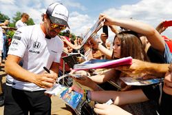 Fernando Alonso, McLaren MP4-31
