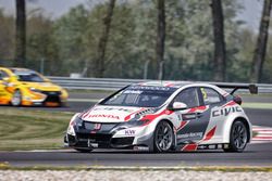 Norbert Michelisz, Honda Racing Team JAS, Honda Civic WTCC