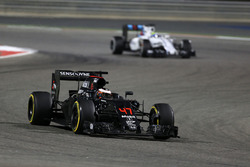 Stoffel Vandoorne, McLaren MP4-31