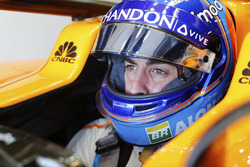 Фернандо Алонсо, McLaren MCL33