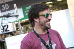 Fernando Alonso