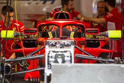 Ferrari SF71H halo wings