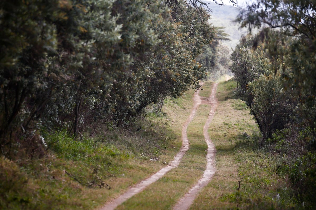 Atmosphere in Kenya