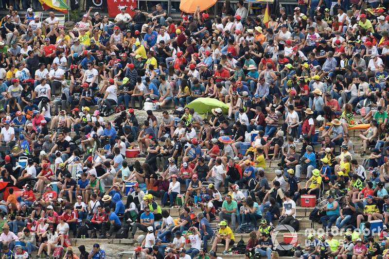 Crowds