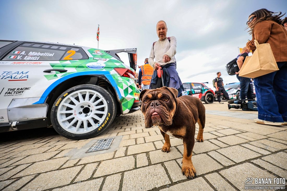 Rali Ceredigion 2025