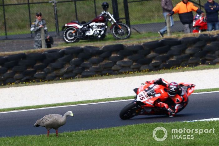 Scott Redding, Aruba.it Racing Ducati
