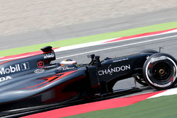 Stoffel Vandoorne, pilote d'essais et de réserve McLaren MP4-31