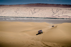 #104 Peugeot: Cyril Despres, David Castera