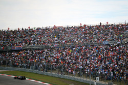Fernando Alonso, McLaren MP4-31