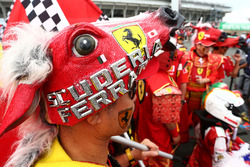 Tifosi Ferrari