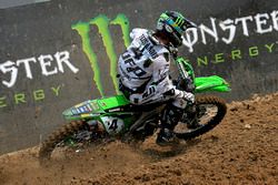 Dylan Ferrandis, Monster Kawasaki MX2