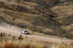 Thierry Neuville, Nicolas Gilsoul, Hyundai i20 WRC, Hyundai Motorsport