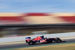 Max Verstappen, Scuderia Toro Rosso STR11