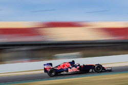 Max Verstappen, Scuderia Toro Rosso STR11