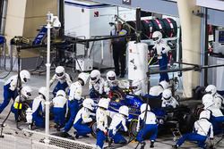 Pascal Wehrlein, Sauber C36