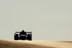 #36 Signatech Alpine A470 Gibson: Andre Negrao, Gustavo Menezes, Nicolas Lapierre