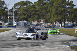 #5 Action Express Racing Cadillac DPi: Joao Barbosa, Christian Fittipaldi, Filipe Albuquerque