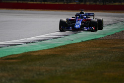 Brendon Hartley, Toro Rosso STR13