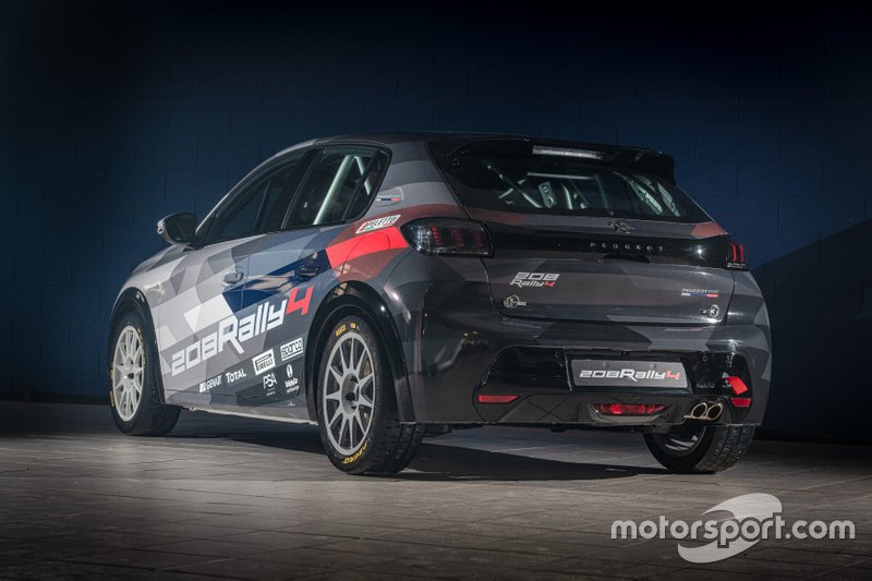 Dettagli Peugeot 208 Rally4