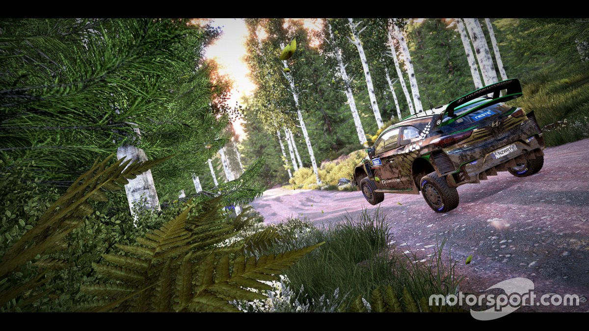 WRC 9