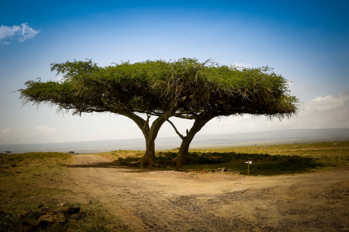 Atmosfer di Kenya