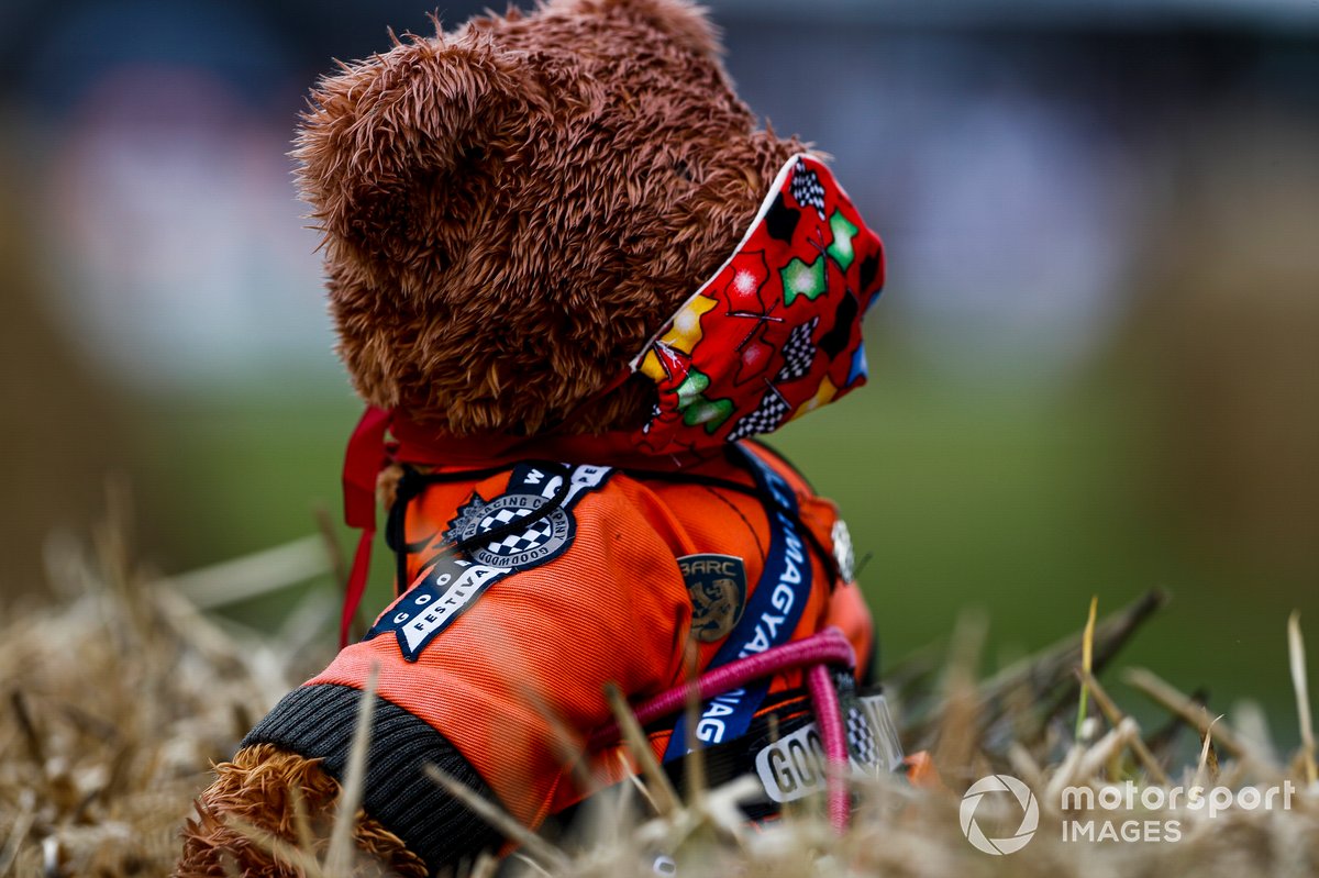 Un oso Teddy