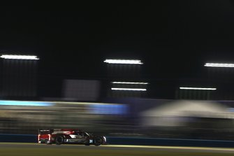 #31 Action Express Racing Cadillac DPi: Felipe Nasr, Eric Curran, Pipo Derani