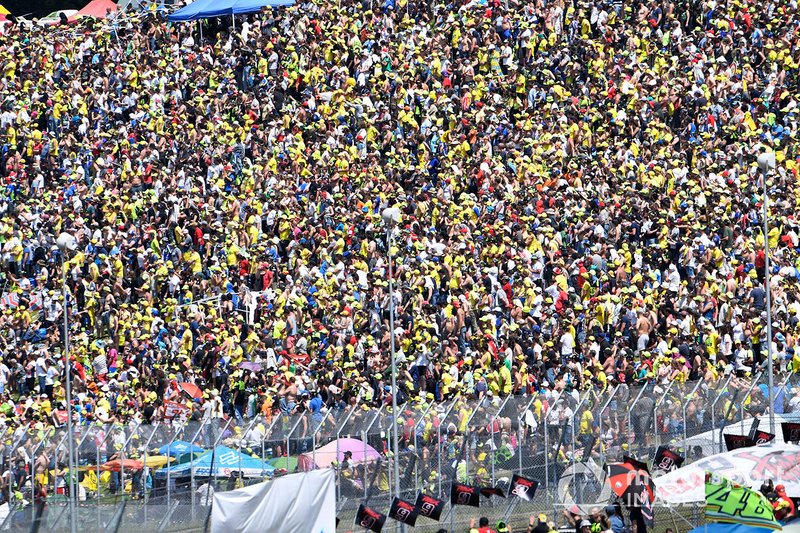 Il pubblico