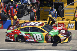 Kyle Busch, Joe Gibbs Racing, Toyota Camry M&M's Flavor Vote