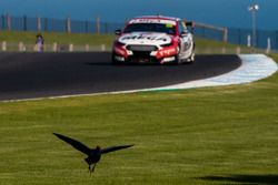 Richie Stanaway, Tickford Racing Ford