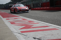 Luca Pastorelli, Dinamic Motorsport