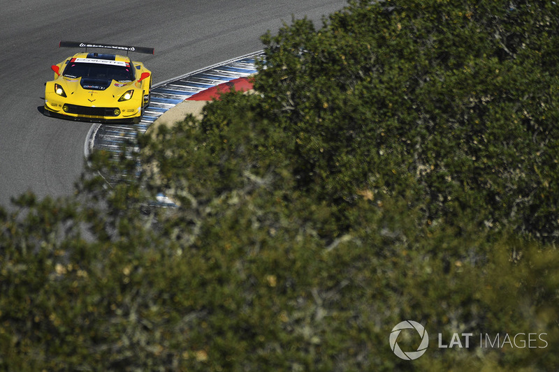 #3 Corvette Racing Chevrolet Corvette C7.R: Antonio Garcia, Jan Magnussen