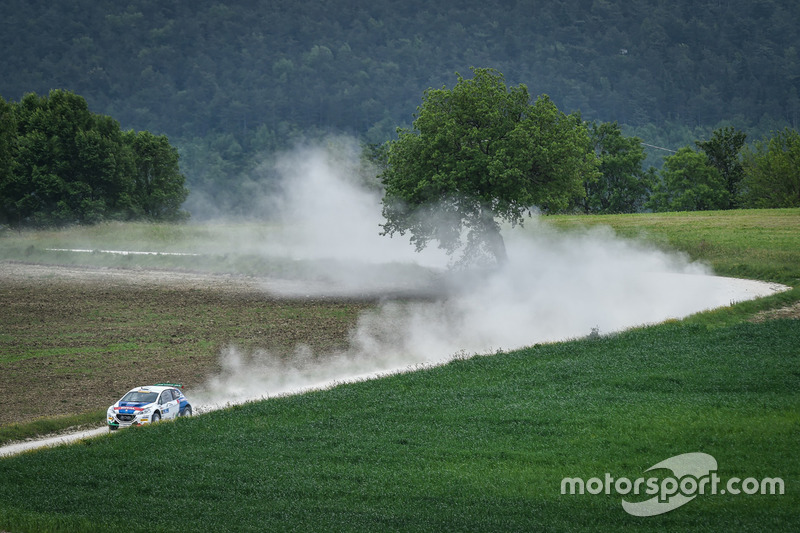 Paolo Andreucci, Anna Andreussi, Peugeot 208 T16, Peugeot Sport Italia