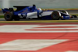 Antonio Giovinazzi, Sauber C36