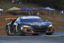#93 Michael Shank Racing Acura NSX: Andy Lally, Katherine Legge, Mark Wilkins