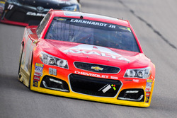 Dale Earnhardt Jr., Hendrick Motorsports Chevrolet
