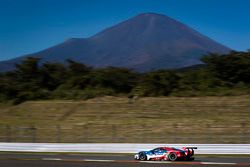 #67 Ford Chip Ganassi Racing Team UK Ford GT: Andy Priaulx, Harry Tincknell
